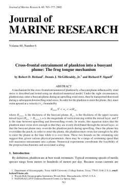 Cross-frontal entrainment of plankton into a buoyant plume: The frog