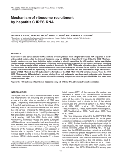 Mechanism of ribosome recruitment by hepatitis