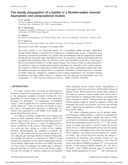 The steady propagation of a bubble in a flexible