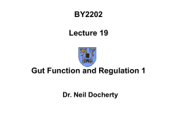 BY2202 Lecture 19 Gut Function and Regulation 1