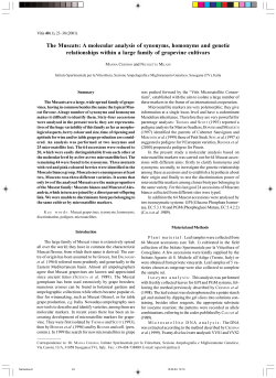 The Muscats: A molecular analysis of synonyms - Vitis-vea