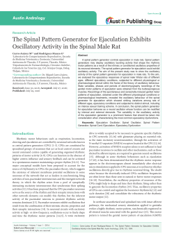 The Spinal Pattern Generator for Ejaculation Exhibits Oscillatory