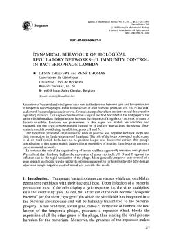 II. Immunity control in bacteriophage lambda