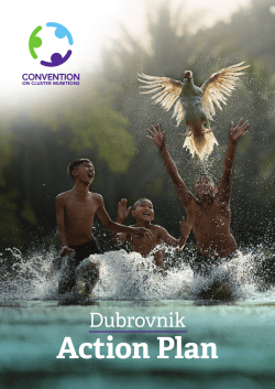 Action Plan - The Convention on Cluster Munitions
