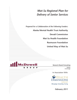 Executive Summary - Mat