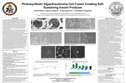 Photosynthetic Algae/Insulinoma Cell Fusion Creating Self