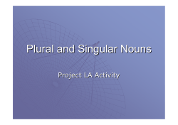 Plural and Singular Nouns
