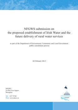 NFGWS position on the future funding of the GWS sector