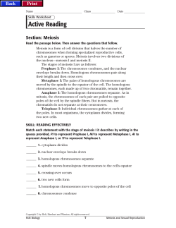 Active Reading - hillcrestsciencedude