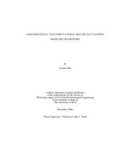 A MATHEMATICAL AND COMPUTATIONAL MULTISCALE
