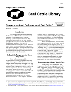 BEEF021 - Temperament and Performancex