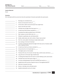 9TH_GRADE_files/Unit 9 - The Horse Industry