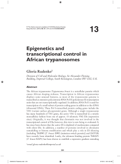 Epigenetics and transcriptional control in African trypanosomes