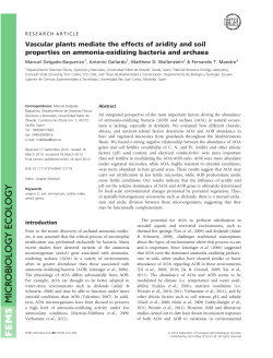 Vascular plants mediate the effects of aridity and soil properties on