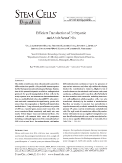Efficient Transfection of Embryonic and Adult Stem Cells
