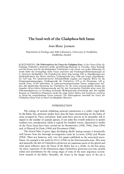 The food-web of the Type="Italic">Cladophora