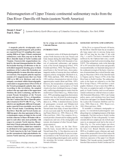 Paleomagnetism of Upper Triassic continental