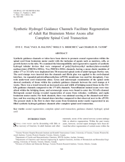 Synthetic Hydrogel Guidance Channels Facilitate Regeneration of
