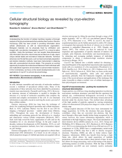 Cellular structural biology as revealed by cryo