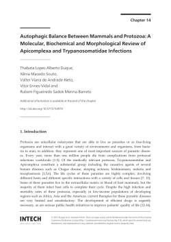Autophagic Balance Between Mammals and Protozoa