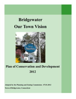 Bridgewater Our Town Vision