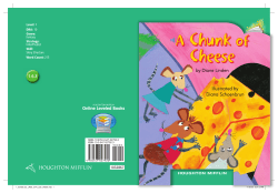 a chunk of cheese - Bemis 1 Thinkers