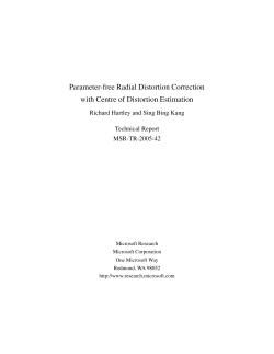 Parameter-free Radial Distortion Correction with Centre of Distortion