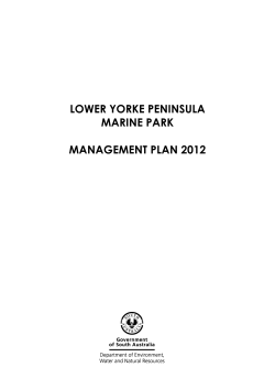 LOWER YORKE PENINSULA