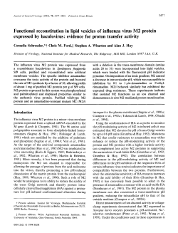 Functional reconstitution in lipid vesicles of influenza virus M2