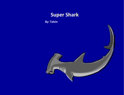 Super Shark - davis.k12.ut.us