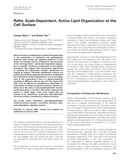 Rafts: Scale-Dependent, Active Lipid