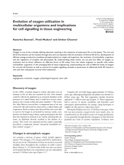 Evolution of oxygen utilization in multicellular