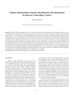 Gibbon (Hylobatidae) Species Identification Recommended for