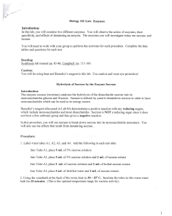 Introduction - oceanbenticoceanpelagic2010