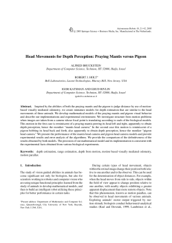 Head Movements for Depth Perception: Praying