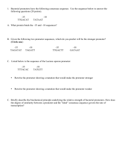 Exam 3 Practice