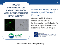 chytrids - The Lower Columbia Estuary Partnership