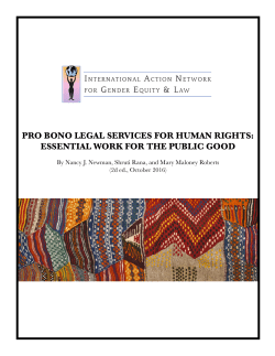 Pro Bono Legal Services for Human Rights