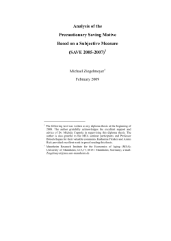 Analysis of the Precautionary Saving Motive Based on a Subjective