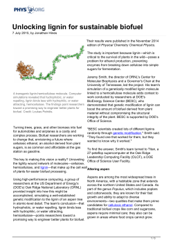 Unlocking lignin for sustainable biofuel