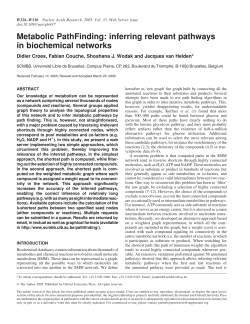 Metabolic PathFinding: inferring relevant