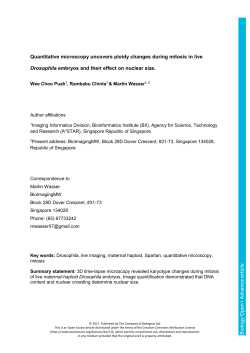 Quantitative microscopy uncovers ploidy changes