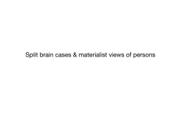 A materialist view of persons