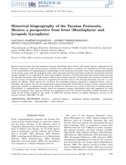 Historical biogeography of the Yucatan Peninsula, Mexico: a