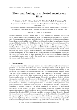 Flow and fouling in a pleated membrane filter