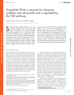 Drosophila TIF-IA is required for ribosome synthesis and cell growth