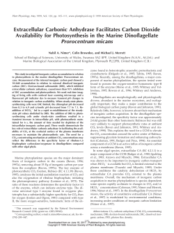 Extracellular Carbonic Anhydrase Facilitates
