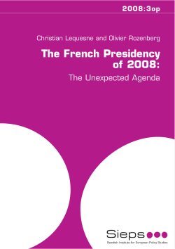 The French Presidency of 2008