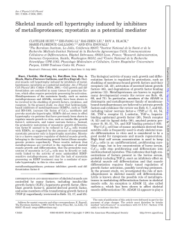 Skeletal muscle cell hypertrophy induced by inhibitors of