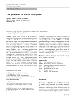 The genu effect on plantar flexor power